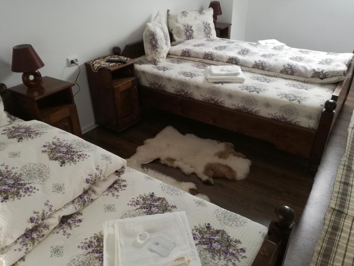 Hotel Casa Iancu Jina Esterno foto